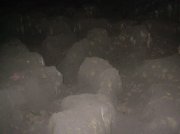 Summer '06 Sunriver 157 